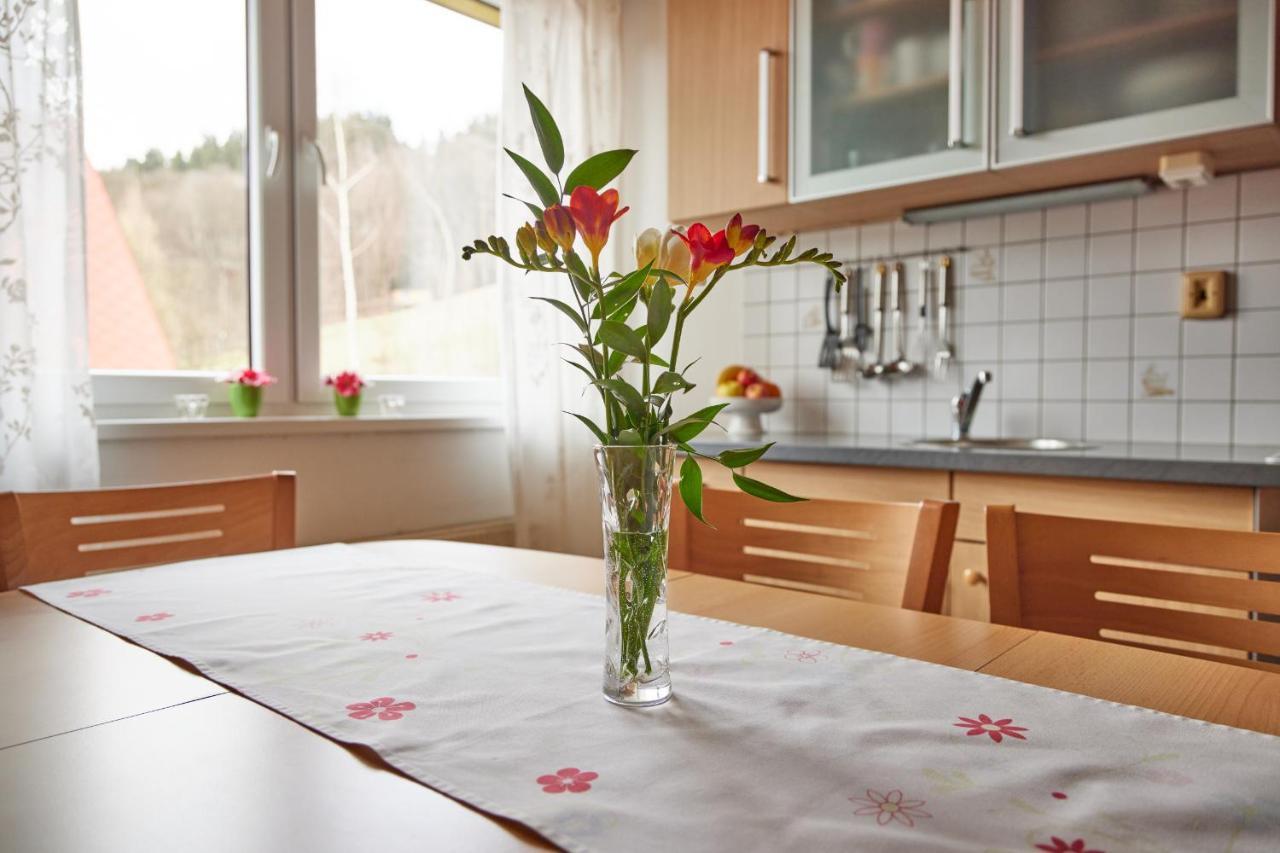 Apartman Svoboda Svoboda nad Úpou Εξωτερικό φωτογραφία