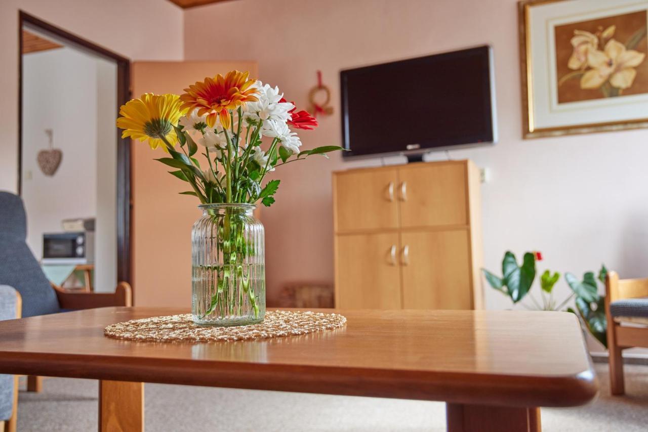 Apartman Svoboda Svoboda nad Úpou Εξωτερικό φωτογραφία