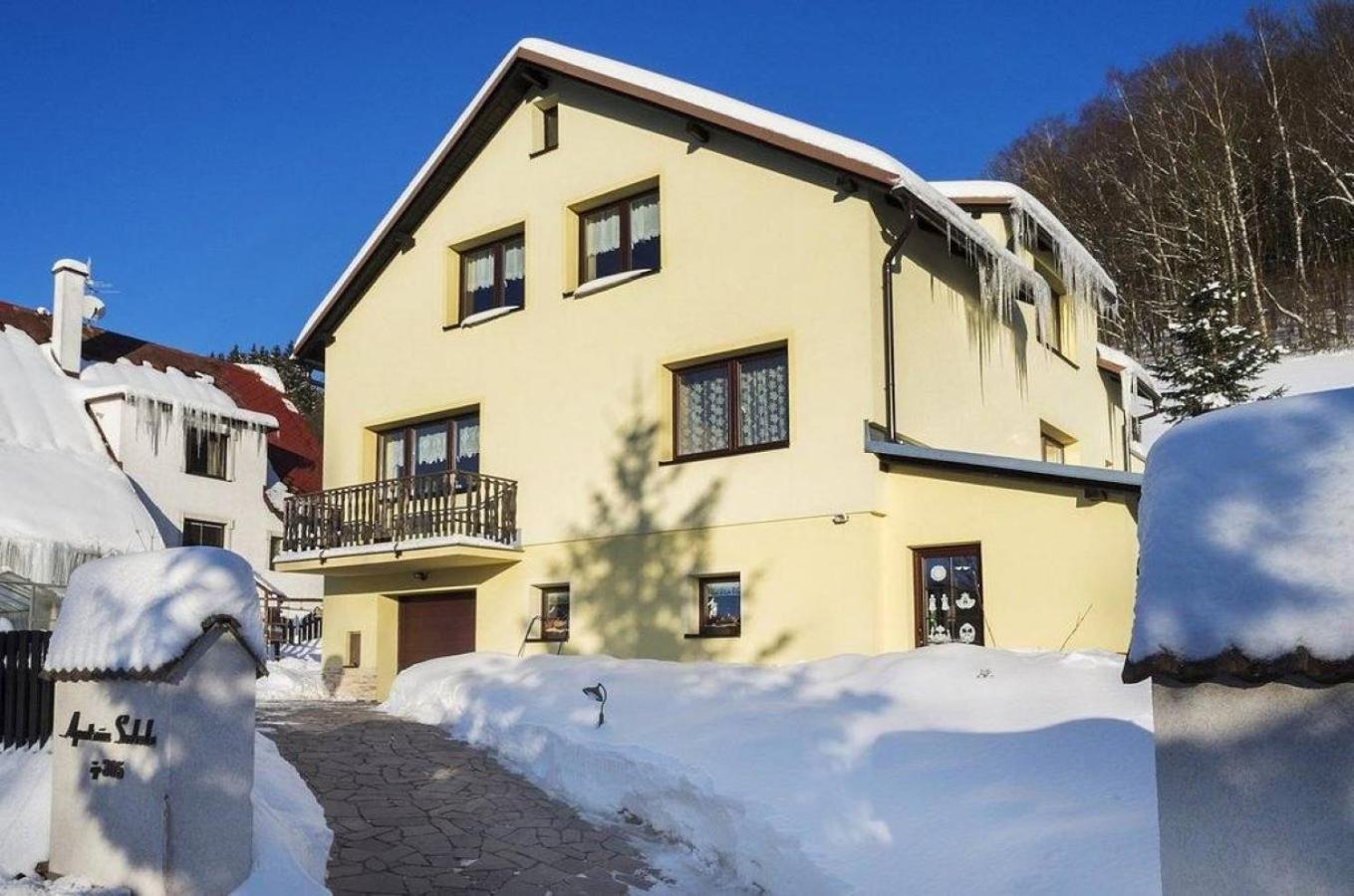 Apartman Svoboda Svoboda nad Úpou Εξωτερικό φωτογραφία